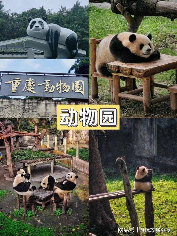 有哪些旅游景点 亲身经历分享凯发国际重庆旅游景点推荐重庆(图8)