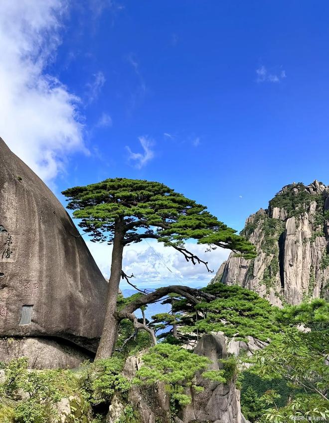 旅行费用+预算是多少5日游攻略解析凯发k8国际8月一家四口黄山5天(图1)