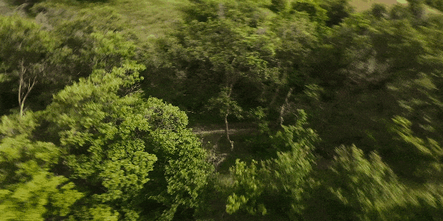 Neo丨掌上起飞轻松入门凯发k8娱乐唯一DJI(图14)