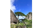 旅行费用+预算是多少5日游攻略解析凯发k